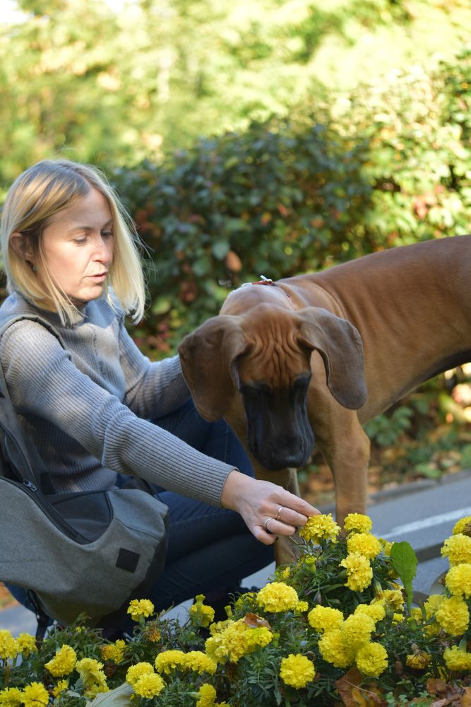 Photograph by Ольга Доловова