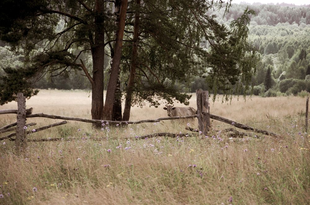 Фотография автора Войнов Дмитрий