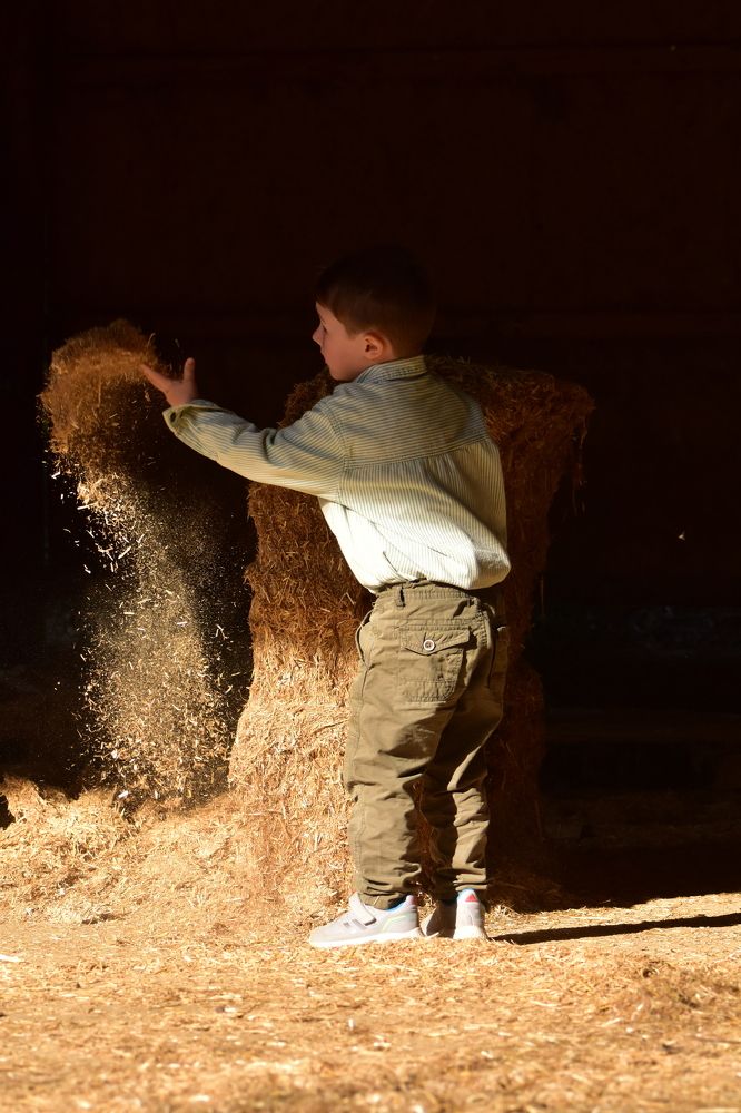 Photograph by Никуличева Екатерина