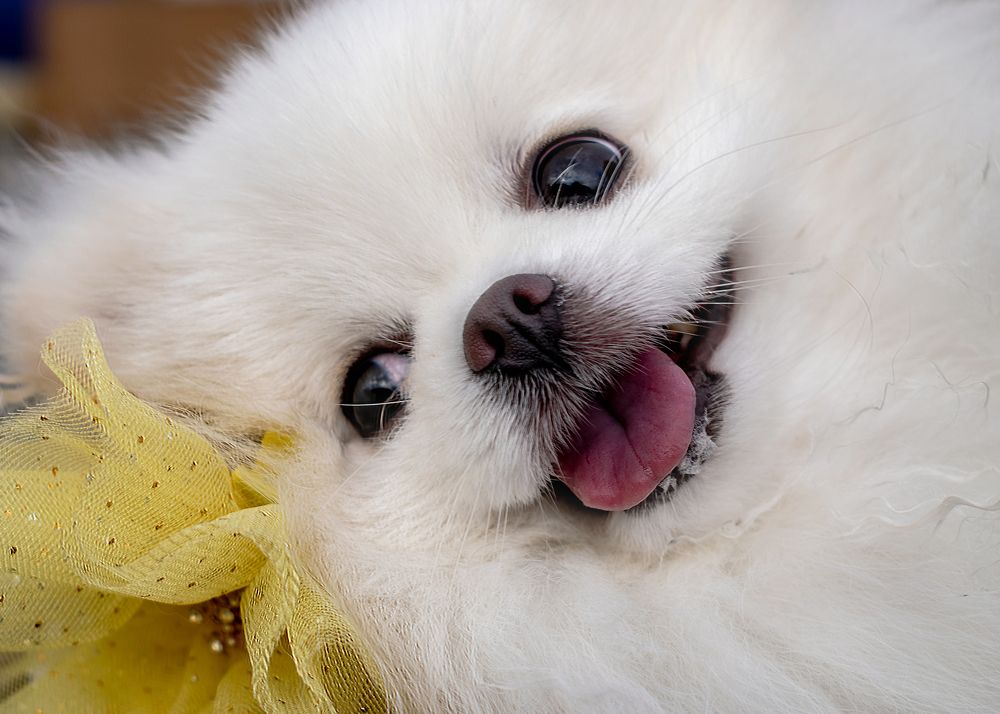 Photograph by Aljona Dyachenko