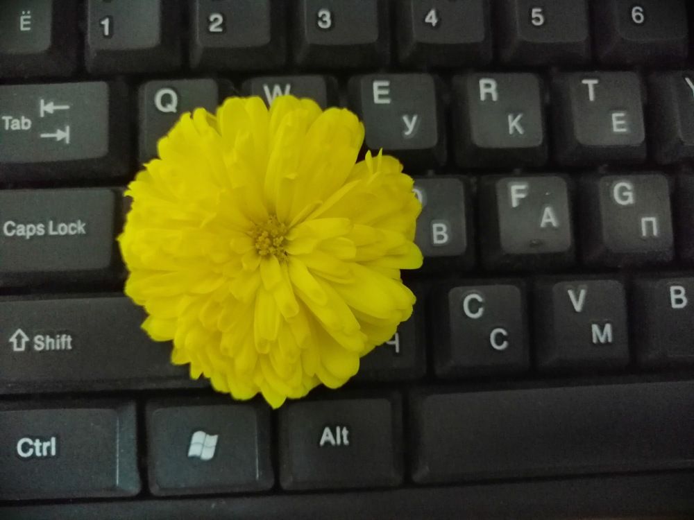 Добро побеждает зло