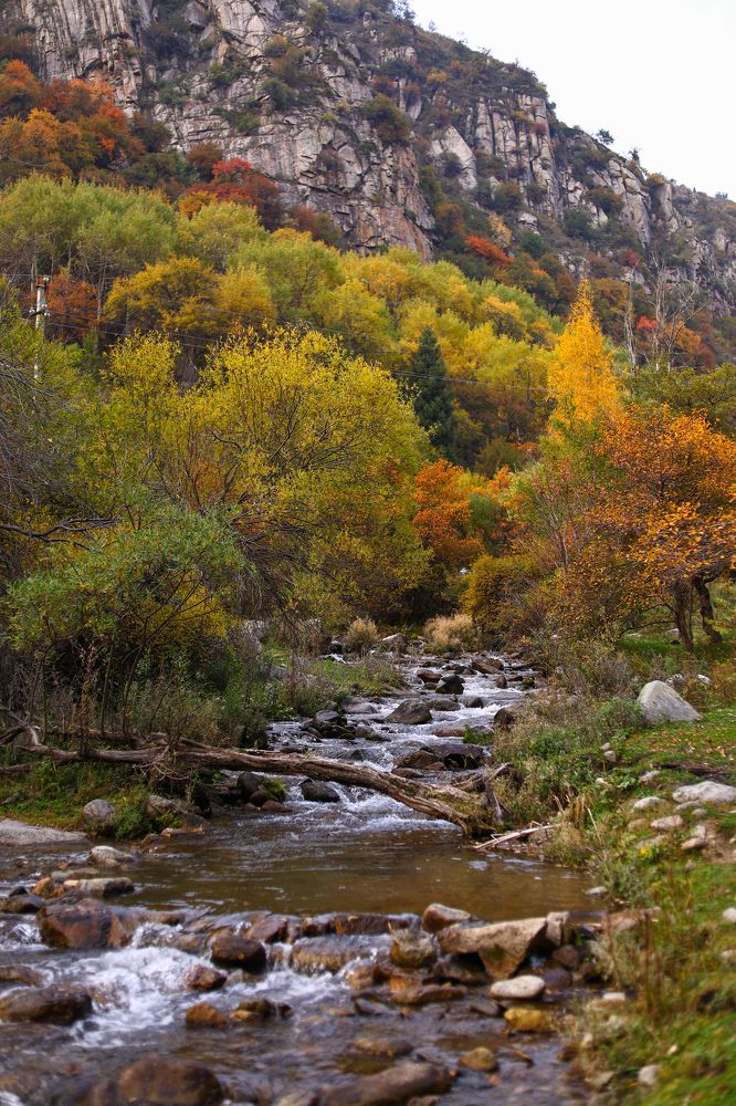 Photograph by Наталья Малышева