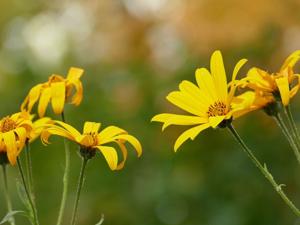 Photograph by Александр Кизим