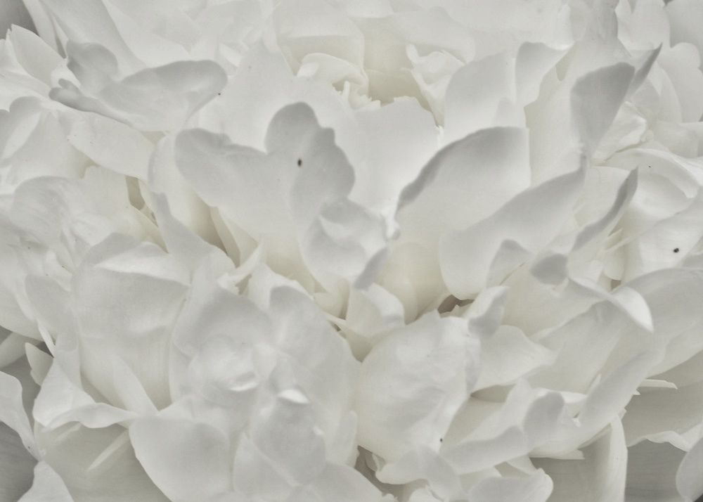 Фотография автора Olga Belikova