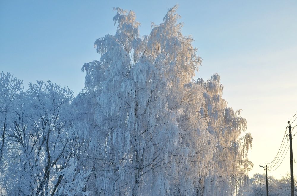 Фотография автора Olga Belikova