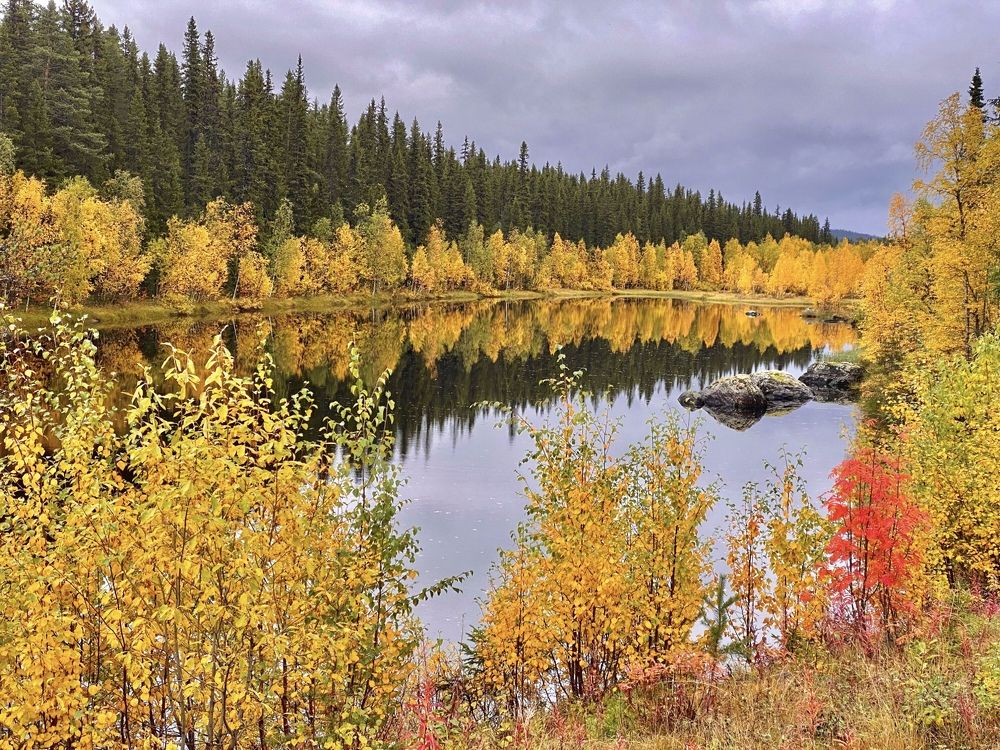 Photograph by Janina Segeda