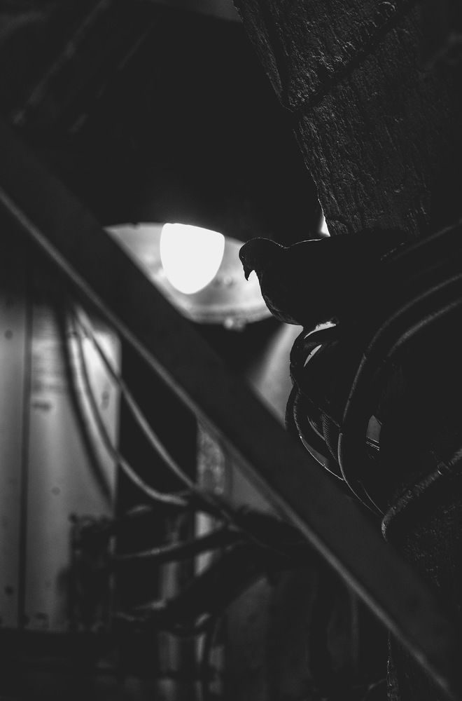 Фотография автора Колобаев Глеб