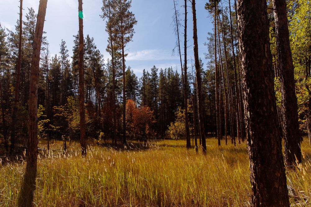 Photograph by Полина Никитина