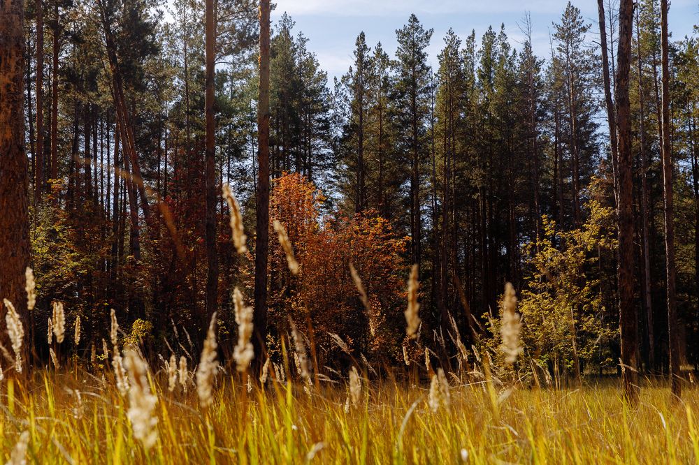 Photograph by Полина Никитина