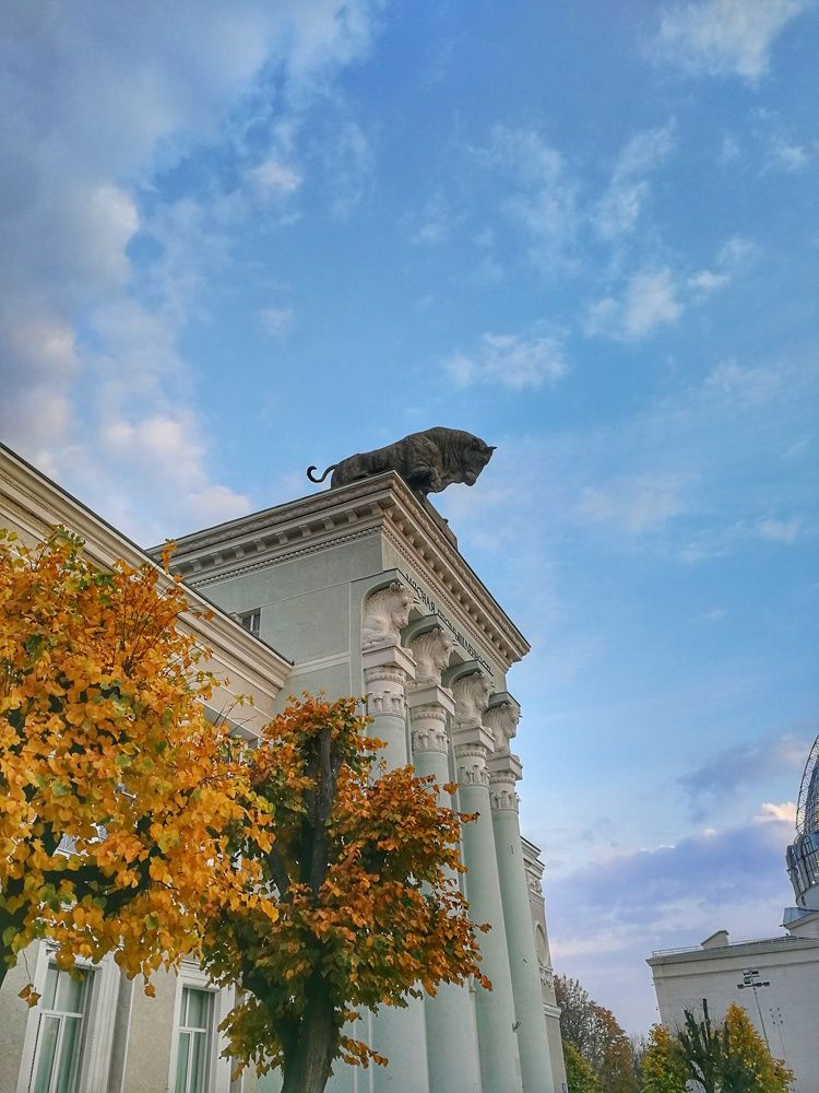 Photograph by Мария Путинцева