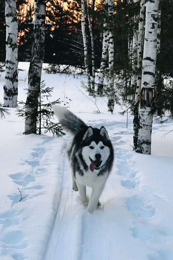 Photograph by Татьяна