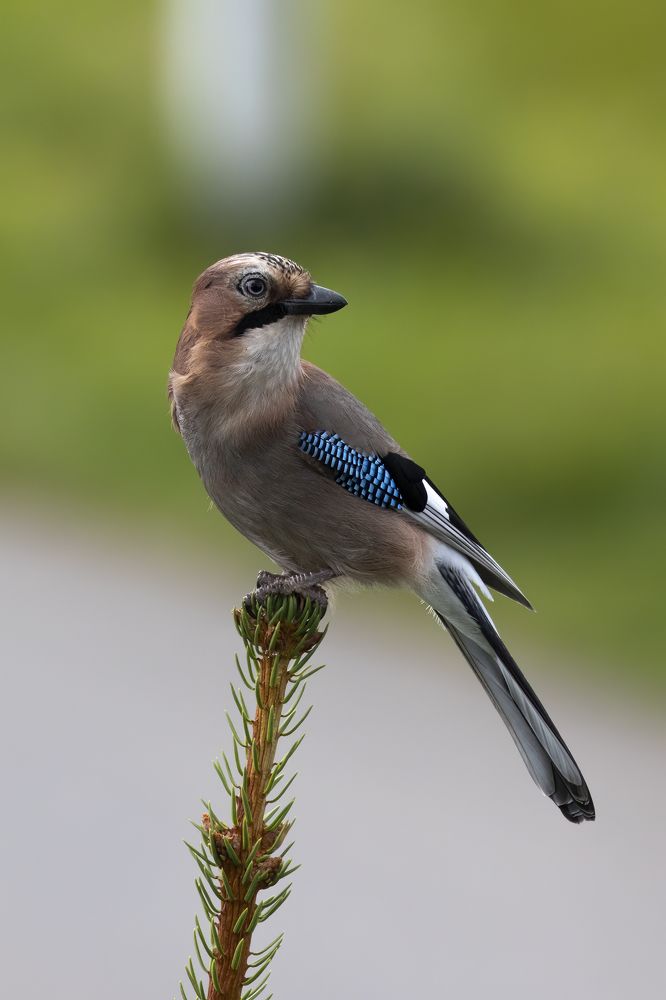 Photograph by Пономарев Илья