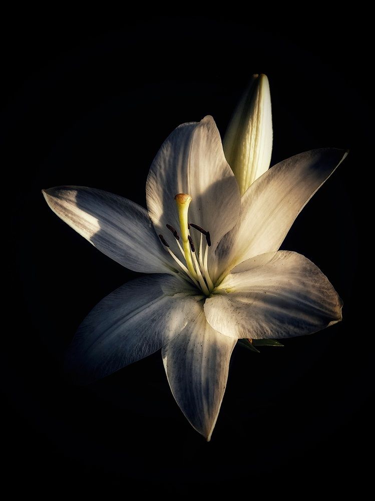 Photograph by Александра Кропивка