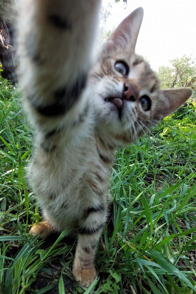 Photograph by Олена Лукашевич