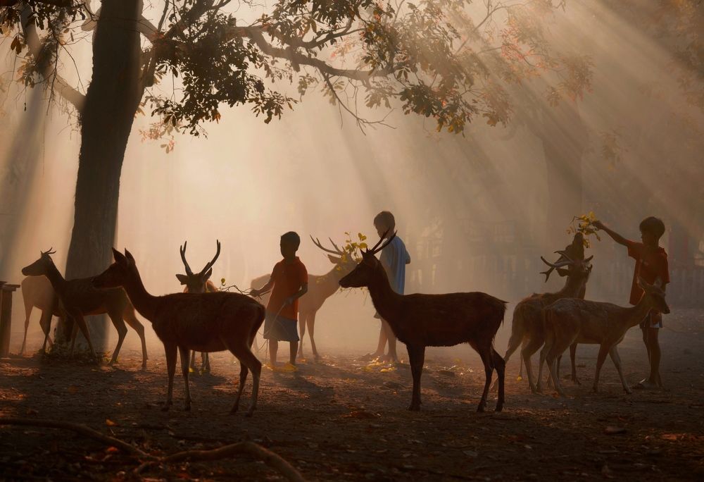 Photograph by Henri Fitriadi