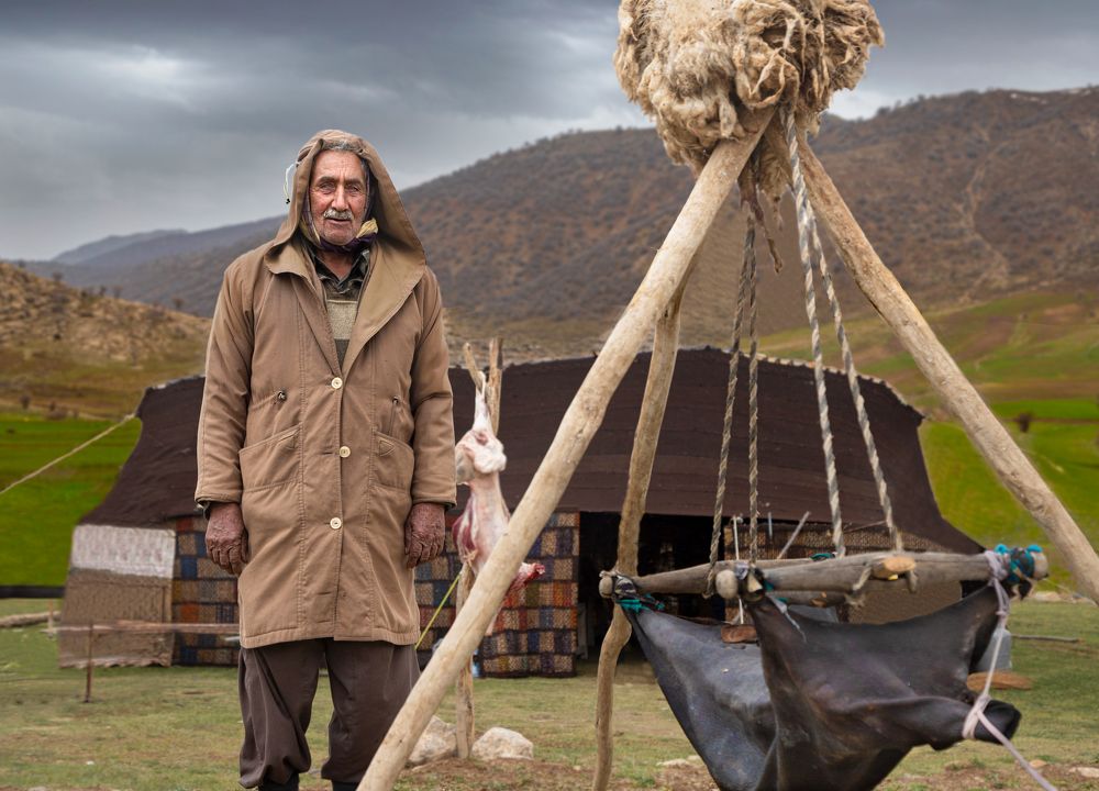 Фотография автора Amin Zand miralvand