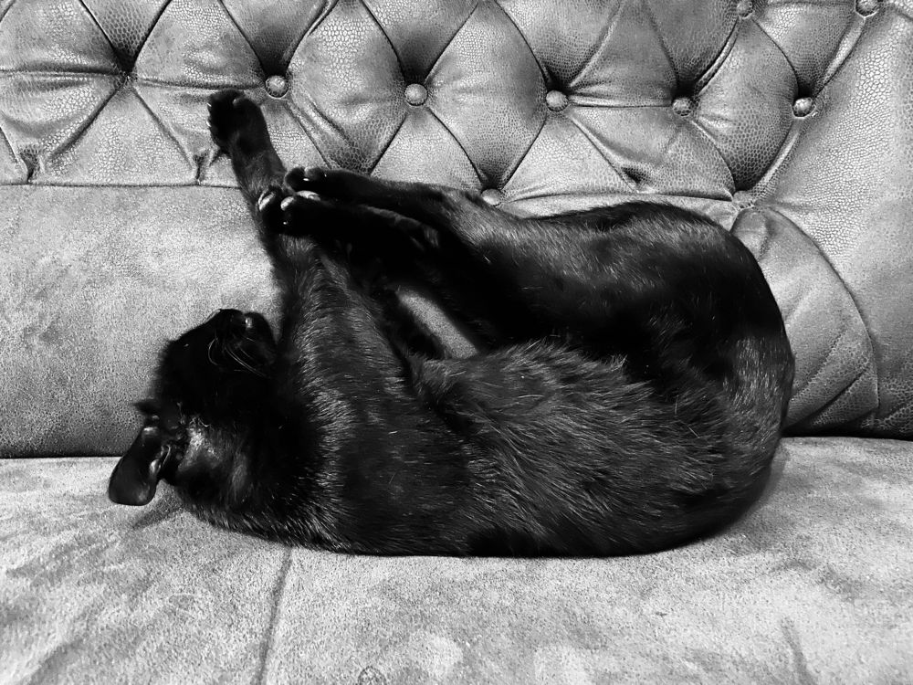 Photograph by Мария Фомина