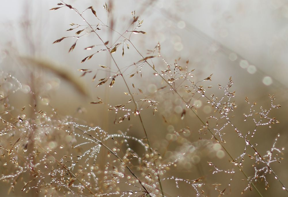 Фотография автора Наталья Белова