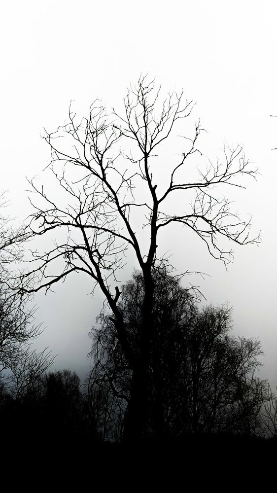 Photograph by Виталий Грачёв