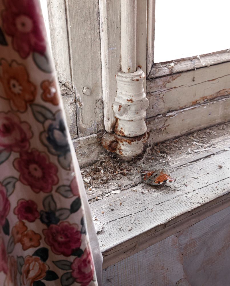 Фотография автора Natalia Bogdanovska