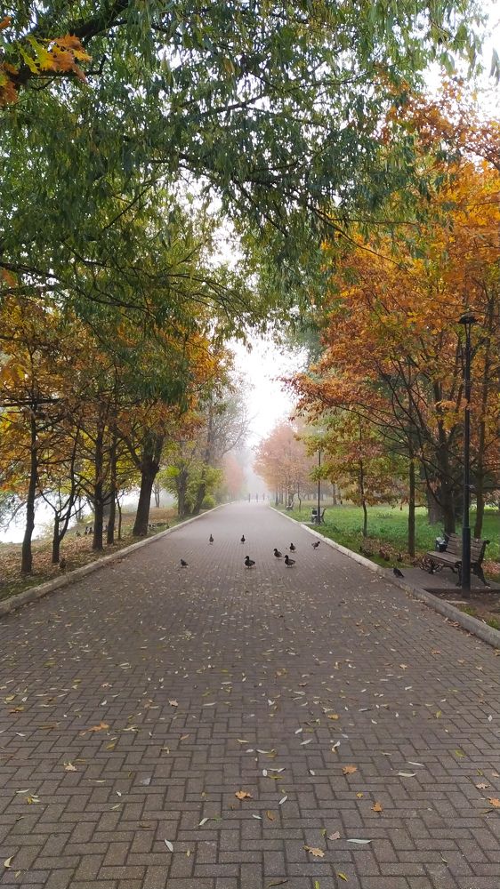 Photograph by Виталий Грачёв