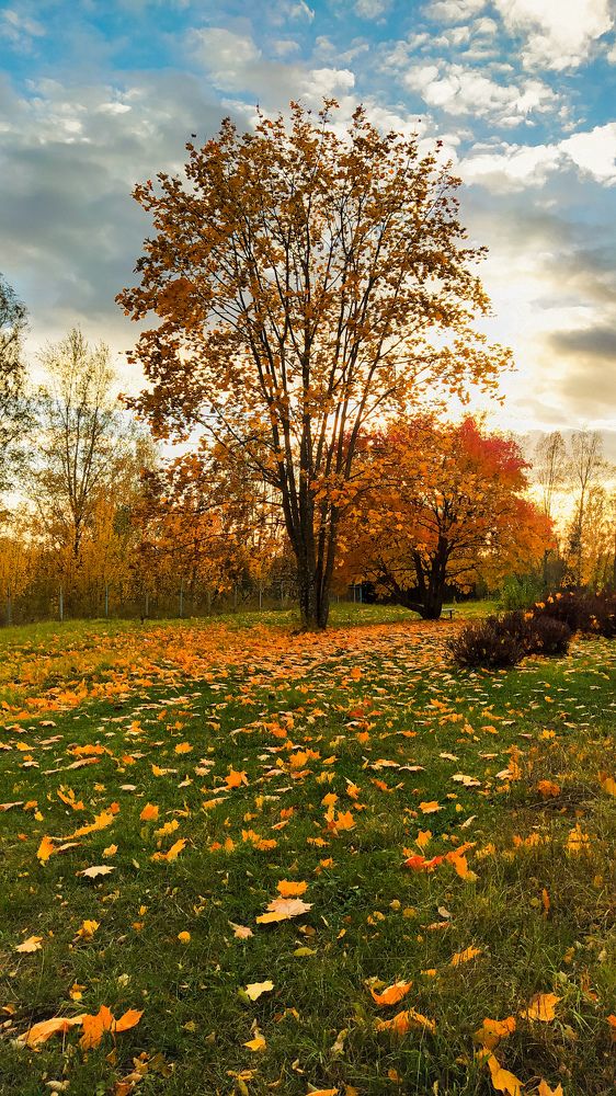 Photograph by Виталий Грачёв