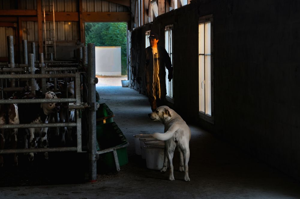 Фотография автора Natalia Bogdanovska