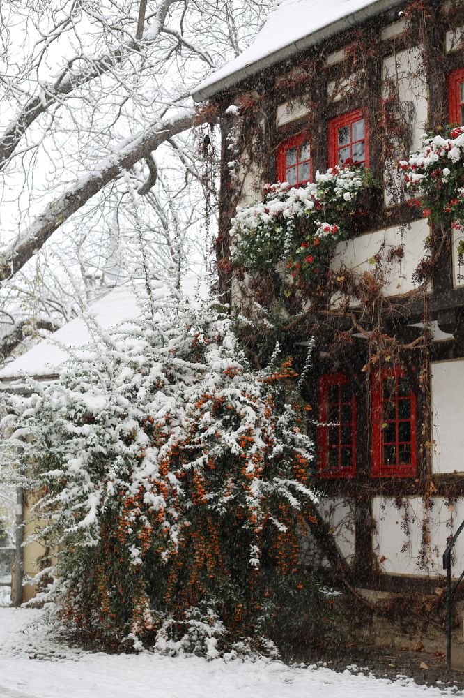 Фотография автора Natalia Bogdanovska