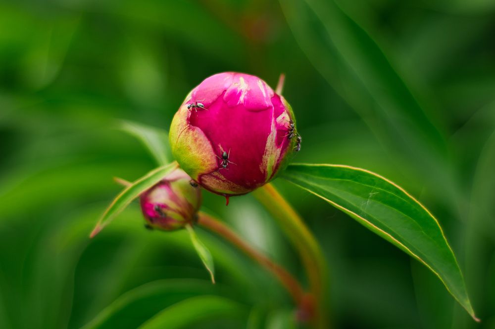 Photograph by Оксана Савенко