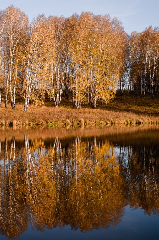 Photograph by Ирина Шерина