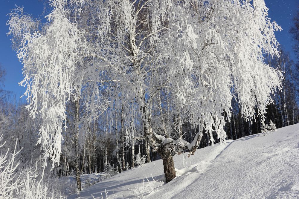 Фотография автора Кухта Мария