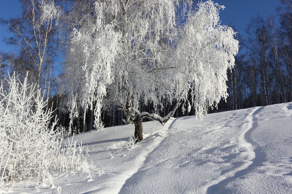Фотография автора Кухта Мария