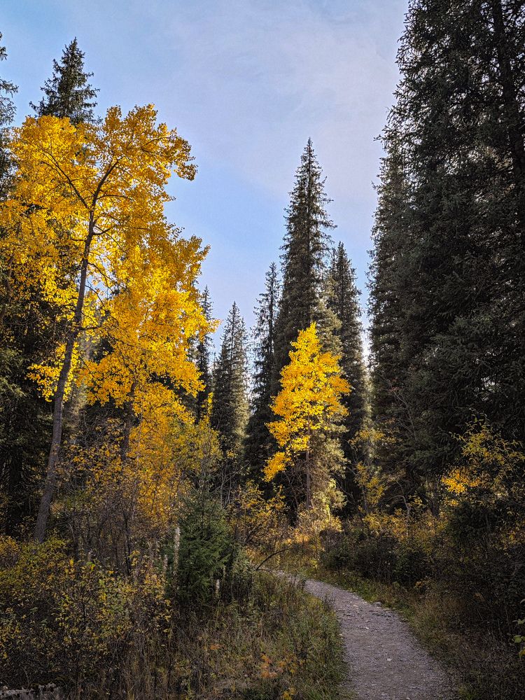 Photograph by Оксана Некрасова