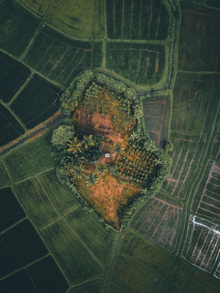 Photograph by Chamila Wickramanayake