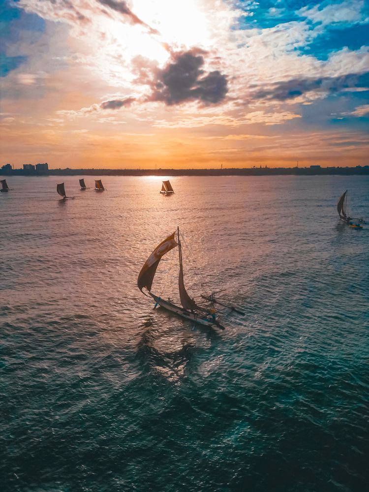 Photograph by Chamila Wickramanayake