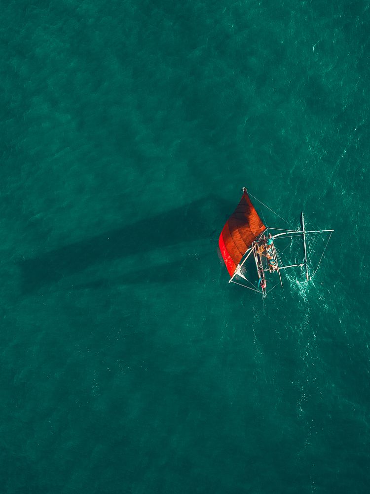 Photograph by Chamila Wickramanayake