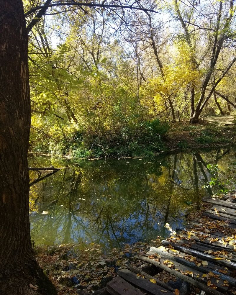 Отражение. Осень...