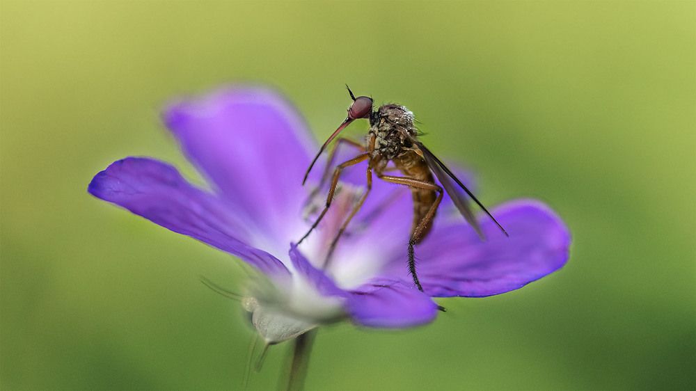 Photograph by Олег Борисович