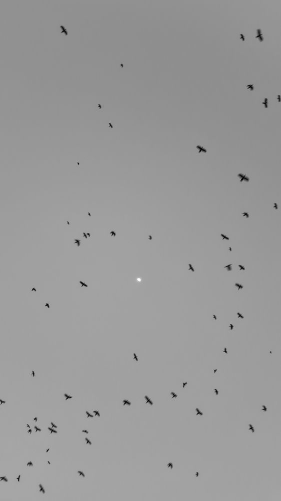 Photograph by Parham Hoseinpour