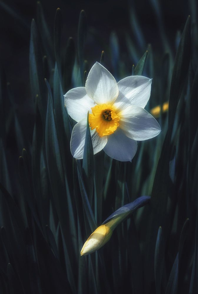 Photograph by Юлия Лушникова