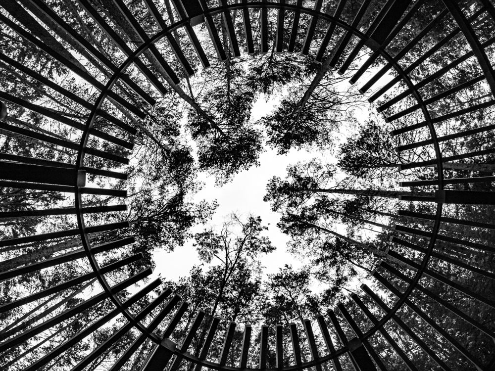 Photograph by Андрей Хаймин