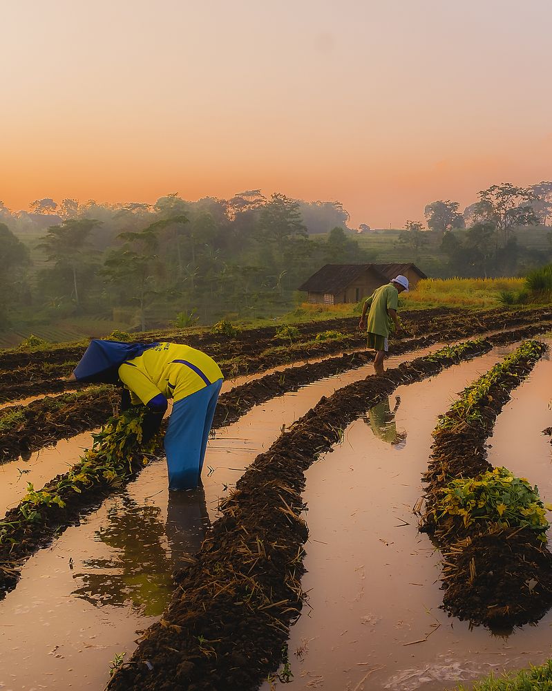 Photograph by Andreas Satrio