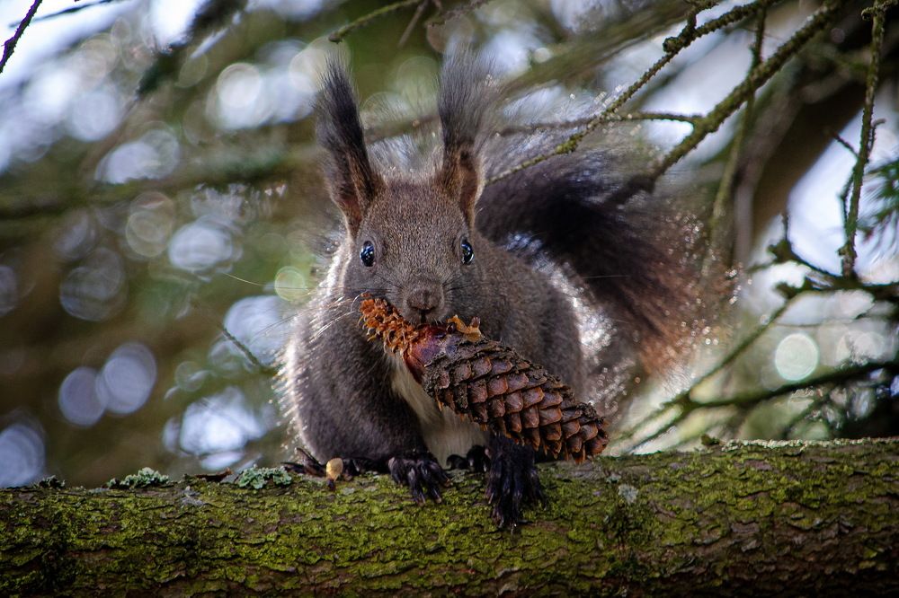 Photograph by Оксана Маховская