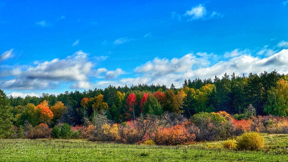 Photograph by Татьяна Галаева