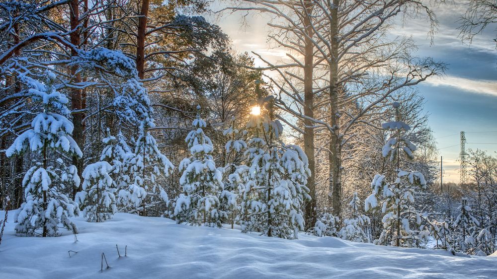 Photograph by Сергей Малеев