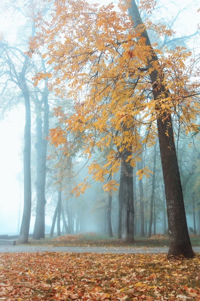 Photograph by Олеся Постнова