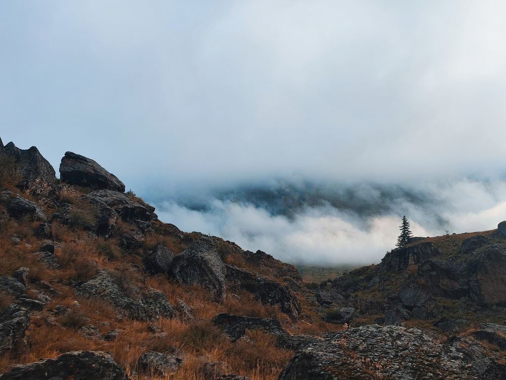 Photograph by Александра Петрова