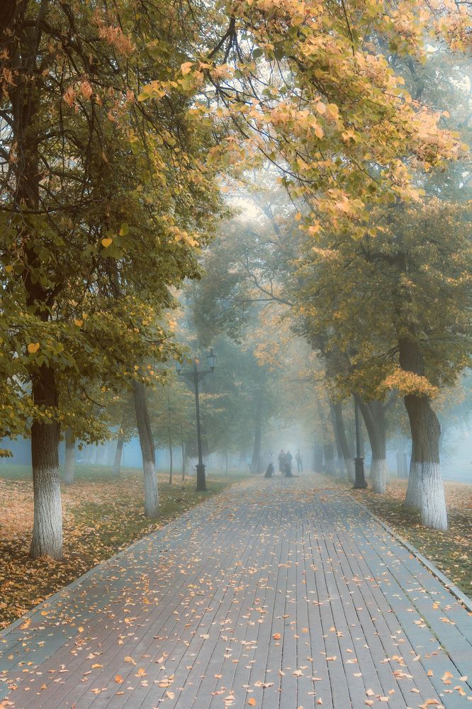 Photograph by Олеся Постнова