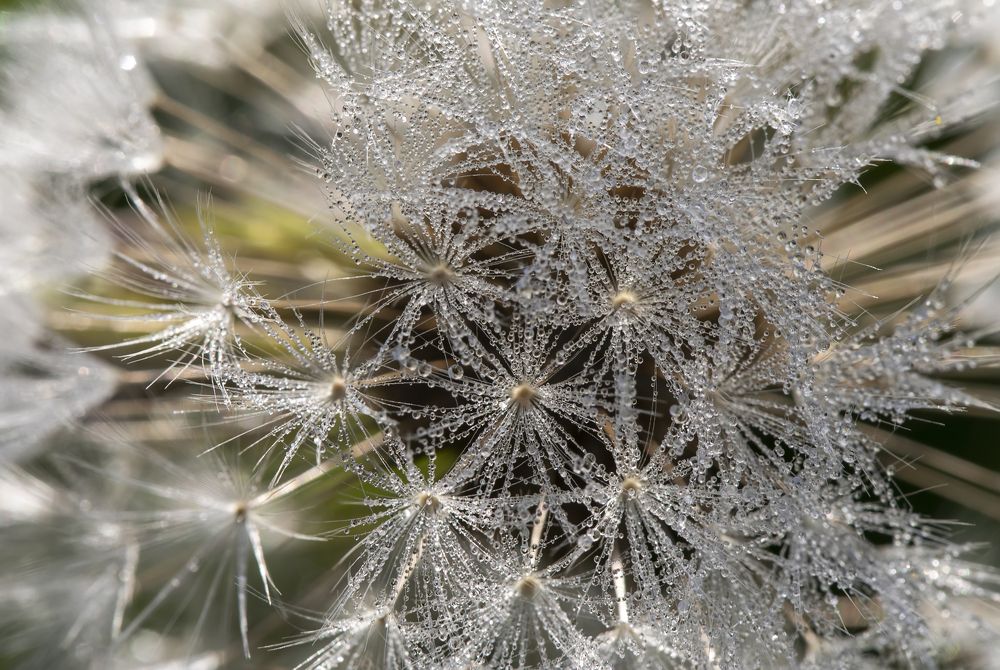 Photograph by Татьяна Феденкова