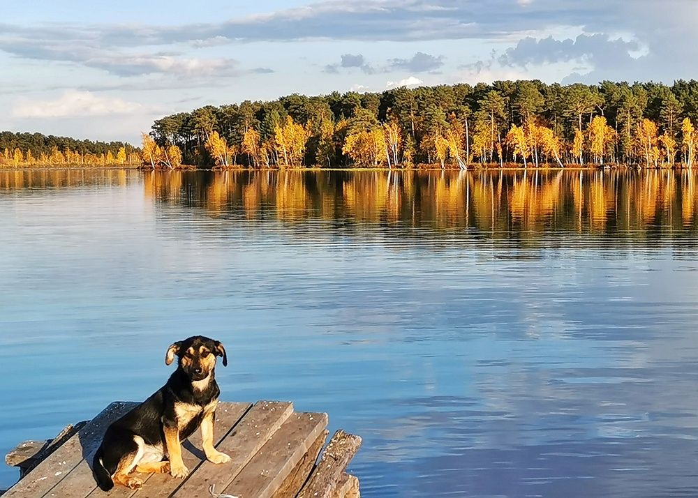 Photograph by Vyacheslav Monoszon